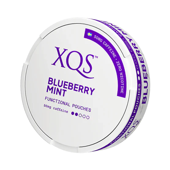 XQS Blueberry Mint Nicotine Free